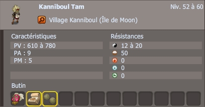 Village Kanniboul